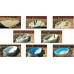 Морозоустойчивый бассейн овальный Atlantic pool Esprit-Big (5,5х3,7х1,35 м) 